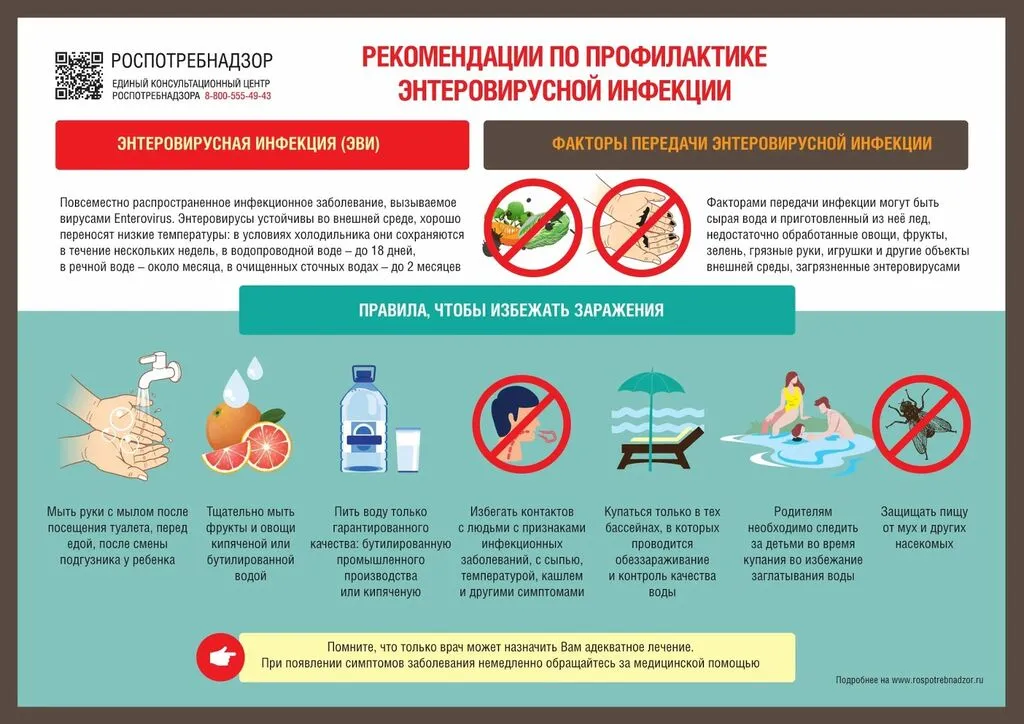 эви